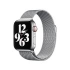 (image for) 38/40mm Silver Milanese Loop IN STOCK