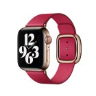 (image for) 40mm Raspberry Modern Buckle - Medium